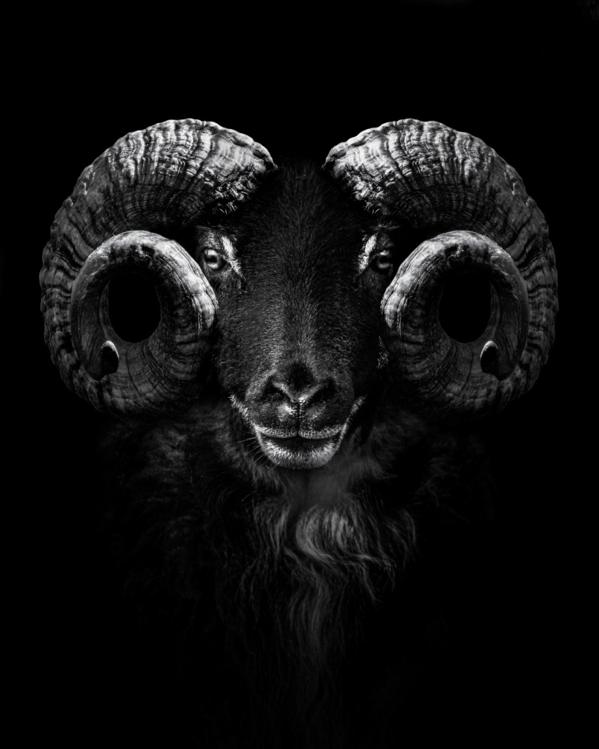 Wollen wir wirklich den Bock zum Gärtner machen? Aletheia