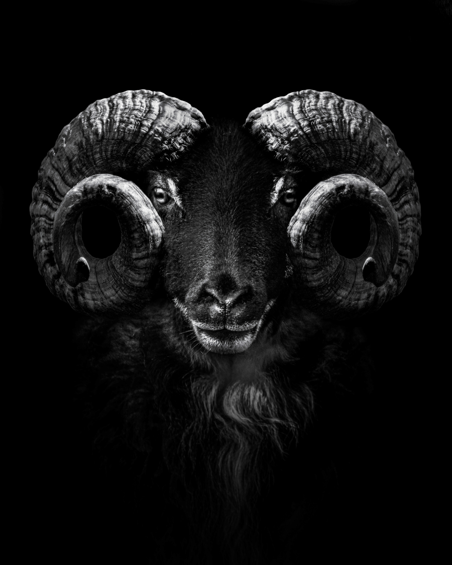 Wollen wir wirklich den Bock zum Gärtner machen? Aletheia